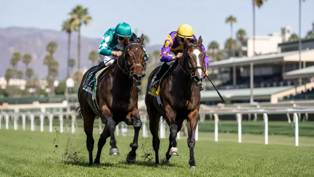 Two thoroughbred racehorses galloping side by side on a turf course at a major US racecourse
