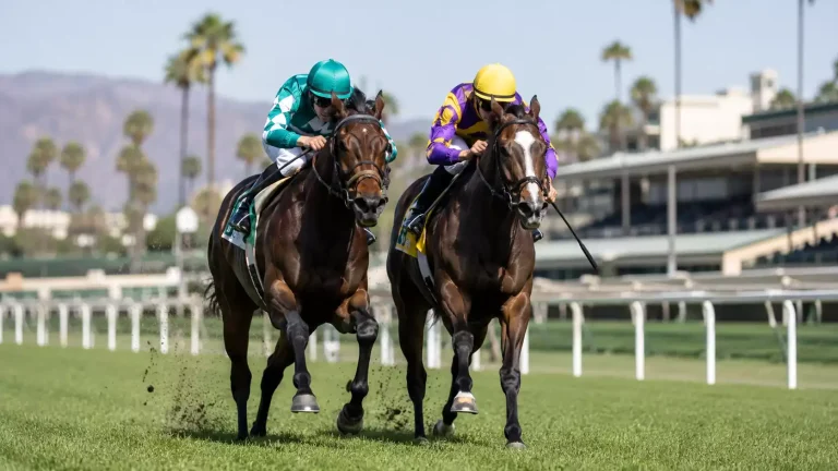 Two thoroughbred racehorses galloping side by side on a turf course at a major US racecourse