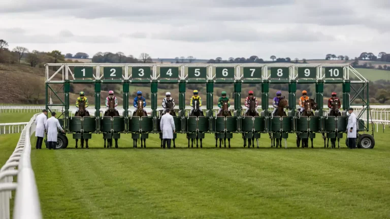 Field of thoroughbred racehorses lined up at the starting stalls on a British turf racecourse