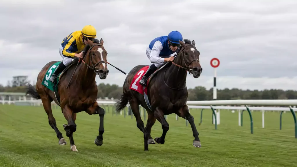 Two thoroughbred racehorses competing down the home straight at a British turf racecourse